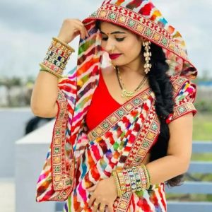 Embellished Bollywood Georgette Saree (Multicolor)