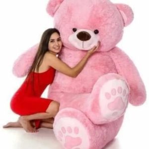 Ziraat 4 ft Soft Color Teddy Bear For Gift